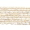 The Bead Chest Vintage Japanese Rice Pearl Beads: 10 Strand Bundle of 5mm Pearls, Oval White Pearls for Jewelry Making